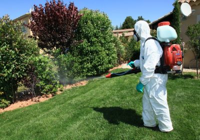 garden-treatment-services